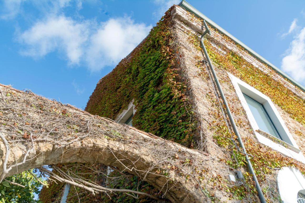 La Belle Vie B&B Santa Maria di Castellabate Kültér fotó